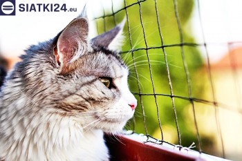 Siatki Rabka-Zdrój - Siatka na balkony dla kota i zabezpieczenie dzieci dla terenów Rabki-Zdrój