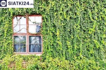 Siatki Rabka-Zdrój - Siatka z dużym oczkiem - wsparcie dla roślin pnących na altance, domu i garażu dla terenów Rabki-Zdrój
